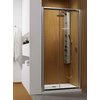 Душевая дверь Radaway Premium Plus DWJ 140 L/R (33323-01-06N) двери Раздвижные тон стекла Непрозрачное 
