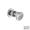 Боковой душ Dornbracht Vaia, polished chrome (28519979-00) Боковые души (форсунки) Хром