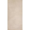 Плитка Dado Ceramica Basic Beige 30*60 (302887) Dado Ceramica Для кухни, Для общественных помещений, Для жилых помещений, Для ванной