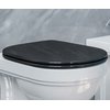 Крышка для унитаза черная Catalano Canova Royal soft close (5SSSTFNE) 