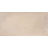 Плитка Dado Ceramica Basic Development Beige 31*62 (303011) Dado Ceramica Для кухни, Для общественных помещений, Для жилых помещений, Для улицы, Для ванной