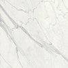 Плитка Dado Ceramica Marmi Pregiati Supreme Statuario Lappato Rettificato 80 * 80 (303022) Dado Ceramica Для кухні, Для громадських приміщень, Для житлових приміщень, Для ванної