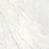 Плитка Dado Ceramica Marmi Pregiati Supreme Statuario Lappato Rettificato 59*59 (303031) Dado Ceramica Для кухні, Для громадських приміщень, Для житлових приміщень, Для ванної