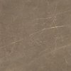 Плитка Dado Ceramica Marmi Pregiati Supreme Bronze Lappato Rettificato 59*59 (303030) Dado Ceramica Для кухні, Для громадських приміщень, Для житлових приміщень, Для ванної