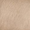 Плитка Dado Ceramica Scout Beige Rettificato 60 * 60 (301801) Dado Ceramica Для басейну, Для вулиці