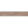 Плитка Dado Ceramica Essenze Cannella Rettificato / Spazzolato 120 * 20 (301664) Dado Ceramica Для кухні, Для громадських приміщень, Для житлових приміщень, Для ванної