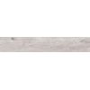 Плитка Dado Ceramica Essenze Gelsomino Rettificato 163*27 (303002) Dado Ceramica Для кухні, Для громадських приміщень, Для житлових приміщень, Для ванної