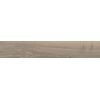 Плитка Dado Ceramica Akaba Elm Rettificato 122*20 (303296) Dado Ceramica Для кухні, Для громадських приміщень, Для житлових приміщень, Для ванної