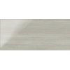Плитка Dado Ceramica Easy Line Easy Grey 20 * 45 (301868) Dado Ceramica Для кухні, Для громадських приміщень, Для житлових приміщень, Для промислових приміщень, Для технічних зон, Для ванної