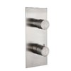 Смеситель Fima Carlo Frattini Fimatherm (F3089X1Inox) Для ванны, Для душа Нерж. сталь