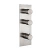 Смеситель Fima Carlo Frattini Fimatherm (F3089X2Inox) Для ванны, Для душа Нерж. сталь