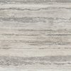 Плитка Sant'Agostino Tipos Silver Nat 60*60 (CSATIPSI60) Sant'Agostino Для кухни, Для общественных помещений, Для жилых помещений, Для улицы, Для ванной