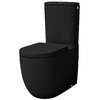 Унитаз-компакт Artceram File 2.0, black glossy (FLV003 03; 00) Напольные Без бачка (отдельно)