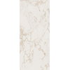 Плитка Fap Maxxi Calacatta Ret 120*278 (fOEO) FAP Ceramiche Для кухни, Для общественных помещений, Для жилых помещений, Для ванной
