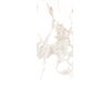 Плитка Fap Roma 25 Calacatta 25 * 75 (fLSN) FAP Ceramiche Для кухні, Для громадських приміщень, Для житлових приміщень, Для ванної