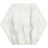 Плитка Fap Roma Statuario Matt 21,6 * 25 (fLVD) FAP Ceramiche Для кухні, Для громадських приміщень, Для житлових приміщень, Для ванної