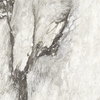 Плитка Rex Etoile Renoir Glossy Ret 160*160 (761719) Rex Для кухни, Для общественных помещений, Для жилых помещений, Для ванной