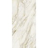 Плитка Rex Etoile Creme Glossy Ret 160*320 (761713) Rex Для кухни, Для общественных помещений, Для жилых помещений, Для ванной