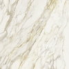 Плитка Rex Etoile Creme Matte Ret 120*120 (761745) Rex Для кухні, Для громадських приміщень, Для житлових приміщень, Для ванної