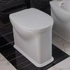 Напольный безободковый унитаз Flaminia Madre Plus goclean, white (MA117RG) Напольные 