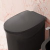 Кришка для унітазу Flaminia Madre soft-closing, black (MACW05) 