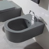 Подвесное биде Flaminia Link, lava grey (5051/B) Подвесные Серый