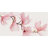 Декор Flaviker Supreme Decoro Magnolia 60 * 120 (SPDI101) Flaviker Для кухні, Для громадських приміщень, Для житлових приміщень, Для ванної