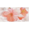 Декор Flaviker Supreme Decoro Sublime 60*120 (SPDI133) Flaviker Для кухни, Для общественных помещений, Для жилых помещений, Для ванной