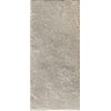 Плитка Serenissima Magistra Fior Di Bosco Lux Ret 50 * 100 (1063762) Serenissima Для кухні, Для громадських приміщень, Для житлових приміщень, Для ванної