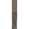 Плитка ABK Dolphin Coal 20 * 120 (DPR35300) ABK Для кухні, Для громадських приміщень, Для житлових приміщень, Для ванної
