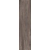 Плитка ABK Dolphin Coal 40 * 170 (DPR5630A) ABK Для кухні, Для громадських приміщень, Для житлових приміщень, Для ванної
