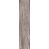 Плитка ABK Dolphin Grey 40 * 170 (DPR5625A) ABK Для кухні, Для громадських приміщень, Для житлових приміщень, Для ванної