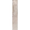 Плитка ABK Dolphin Moon Aged 20 * 120 (DPR35700) ABK Для кухні, Для громадських приміщень, Для житлових приміщень, Для ванної