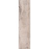 Плитка ABK Dolphin Moon 40 * 170 (DPR5620A) ABK Для кухні, Для громадських приміщень, Для житлових приміщень, Для ванної