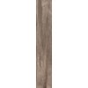 Плитка ABK Dolphin OAK Aged 20 * 120 (DPR35550) ABK Для кухні, Для громадських приміщень, Для житлових приміщень, Для ванної