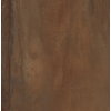 Плитка Abk Interno 9 Wide Rust 120*120 (0000314) ABK Для кухні, Для громадських приміщень, Для житлових приміщень, Для ванної