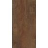 Плитка Abk Interno 9 Wide Rust 120*240 (0000311) ABK Для кухні, Для громадських приміщень, Для житлових приміщень, Для ванної