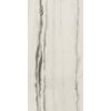 Плитка Prexious of Rex White Fantasy matte 60*120 (755833) Rex Для кухни, Для общественных помещений, Для жилых помещений, Для ванной