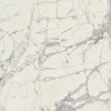 Плитка Prexious of Rex Mountain Treasure glossy 80*80 (755828) Rex Для кухни, Для общественных помещений, Для жилых помещений, Для ванной