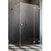 Душевая кабина Radaway Essenza Pro Gold KDJ 110Rx90 (10097110-09-01R+10098090-01-01) Прямоугольные Прозрачное