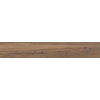 Плитка Cerrad Acero Marrone 19,3*120,2 (41145) Cerrad Для кухни, Для общественных помещений, Для жилых помещений, Для ванной