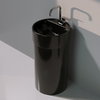 Напольная керамическая раковина Flaminia Twin Column, black (5050/COLP+5050/42A) Напольные Круглые