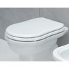 Крышка для унитаза Flaminia Efi soft close, white/oro (23/OR) 