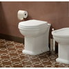 Напольный унитаз Flaminia Efi Plus, white (EF117R) Напольные 