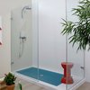 Душевая перегородка Flaminia Bamboo 100 см (50BF/2) walk-in Прозрачное