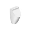 Писсуар Catalano Sfera, bianco satinato (1OR64FBM) Подвесные 