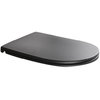Крышка для унитаза Slim Soft Close AXA DP, черная матовая (AF8407) 