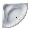 Ванна акриловая Riho Neo 140x140 (B076001005) Riho Угловые симметричные