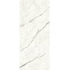 Плитка Atlas Concorde Marvel Shine Statuario Supremo Bookm a Lp 120 * 278 (A4O4) Atlas Concorde Для кухні, Для громадських приміщень, Для житлових приміщень, Для ванної