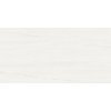 Плитка Atlas Concorde Marvel Stone Bianco Dolomite 40*80 (9MSB) Atlas Concorde Для кухни, Для общественных помещений, Для жилых помещений, Для ванной